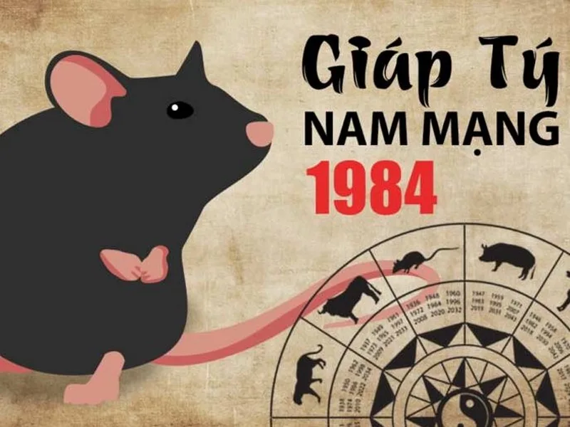 Tu vi tuoi giap ty nam 2026 nam mang